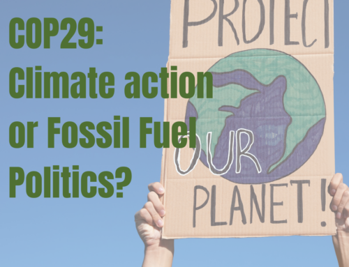 COP 29: Climate Action or Fossil fuel politics?