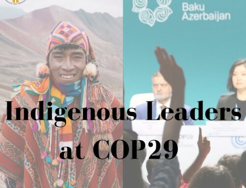 Indigenous Leaders at COP29